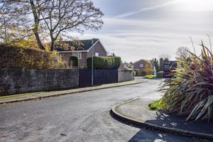 Photo 21- click for photo gallery